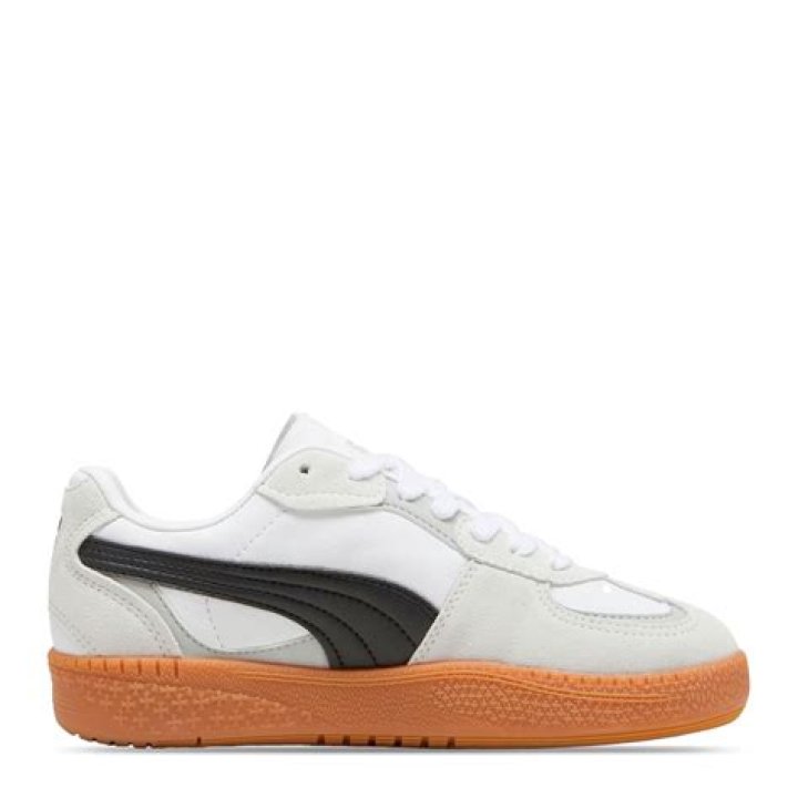 Who Is Sheikh Saeed bin Zayed’s Wife, Shaikha bint? Kids and Family