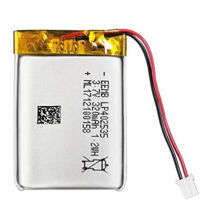 Crazy plane lady video and meme, tiffany gomas controversy explained