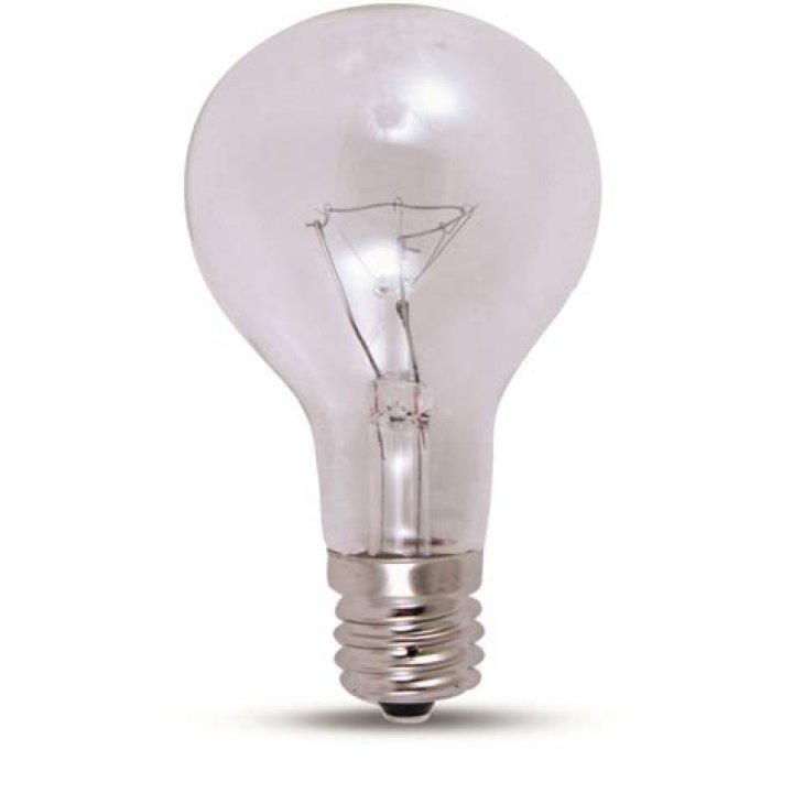 Dominic Russo Car Accident- Ohio Teen Mackenzie Shirilla Sentenced to Life Behind Bars