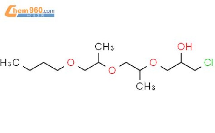 One Piece Live Action creators' description of Nami has fans worried about the character's portrayal