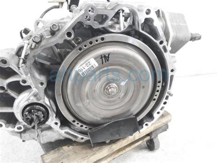 Zach Bryan Tour 2024 Presale Code? How to get Zach Bryan Presale Code? - News