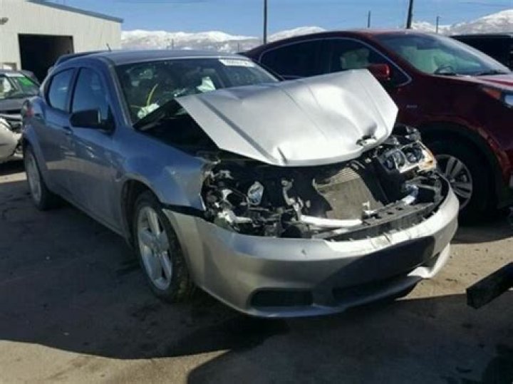 Adam Woolard Wikipedia - Check Age, Bio, Height, Wiki, Net Worth & Instagram Details