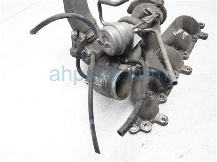 Jimmy Buffett Jamaica Incident: Remember When Jamaican Police Shot at Jimmy Buffett