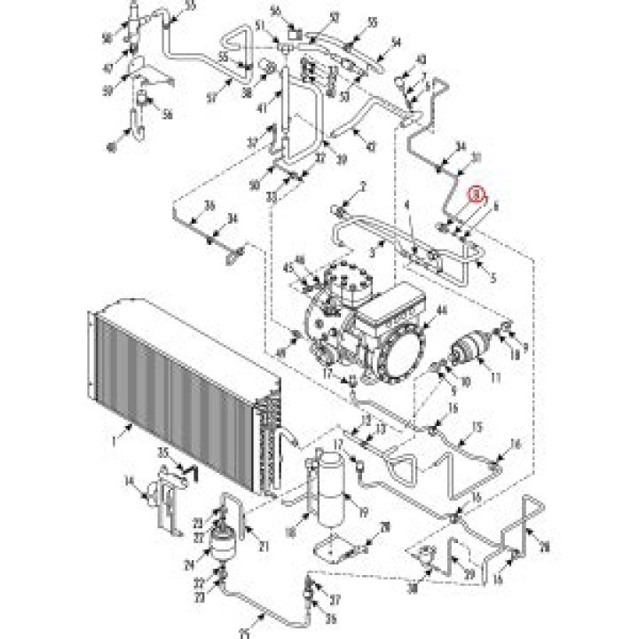 Is Season 5 of Disenchantment the last season? Disenchantment Season 5 Release date, Disenchantment Season 5 Voice actors and more - Latest News