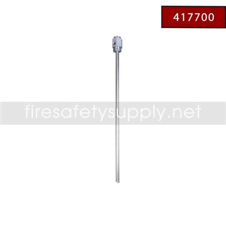 When is Disenchantment Season 6 Coming Out, Will there be a Season 6 of Disenchantment,  -Latest News