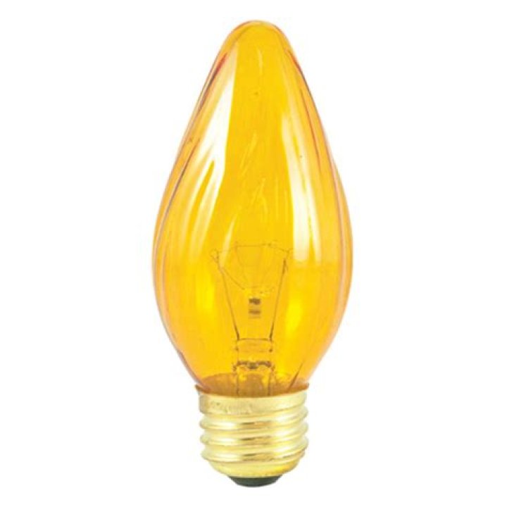 "Richard Laviolette's Passing: Investigating the Circumstances of His Death"