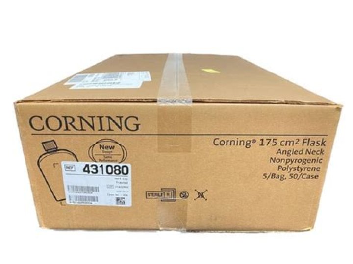 What Was the Significance of the Age Gap in Pete Davidson and Kim Kardashian's Relationship? - SarkariResult