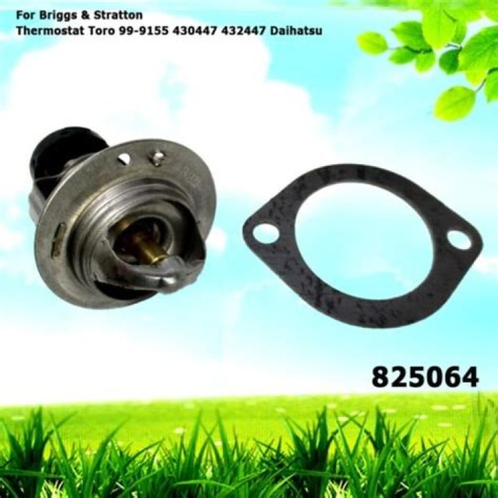 Is Julianne Hough Presently Married? Delving into Her Love Life and Derek Hough's Reaction - SarkariResult