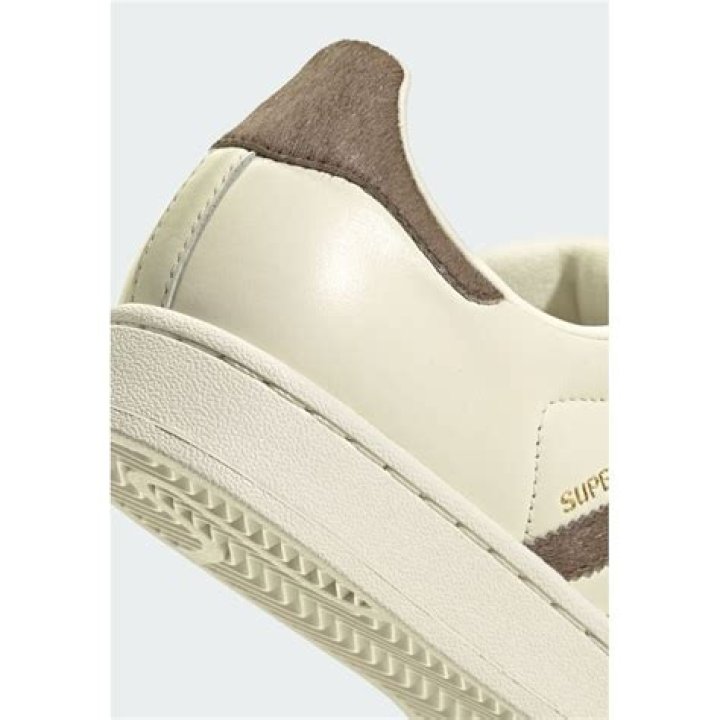 Who Is UFC Star Nate Diaz’s Wife Misty Brown? An Insight about Their Family Life - SarkariResult