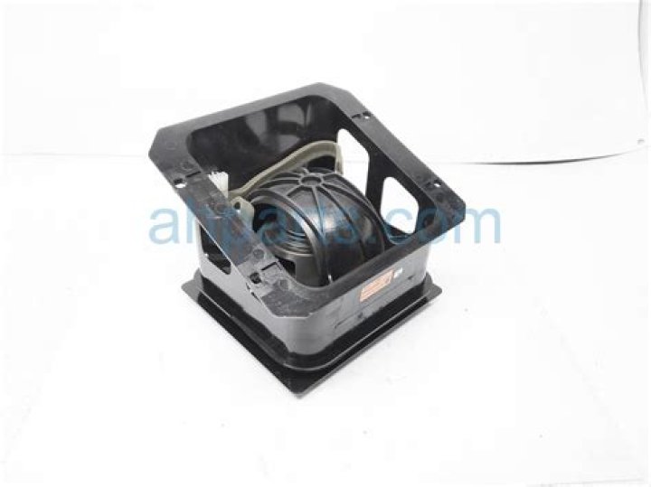 Is Chris Tyson still married to Katie Tyson? Marriage explored amid transphobic backlash - SarkariResult