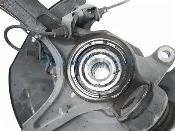 Amanda Peterson's Cause of Death: Amanda Peterson died of accidental morphine overdose - SarkariResult