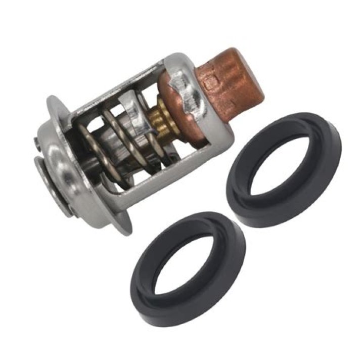 Exposing the Moroccan Earthquake Scam: Is the Seismic Wave Card a Deception? - SarkariResult