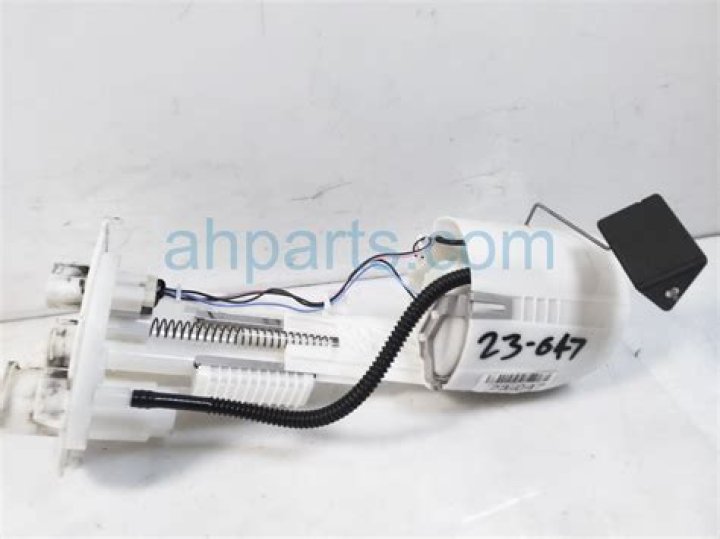 Who Plays Sebastian In The Little Mermaid 2023 - SarkariResult