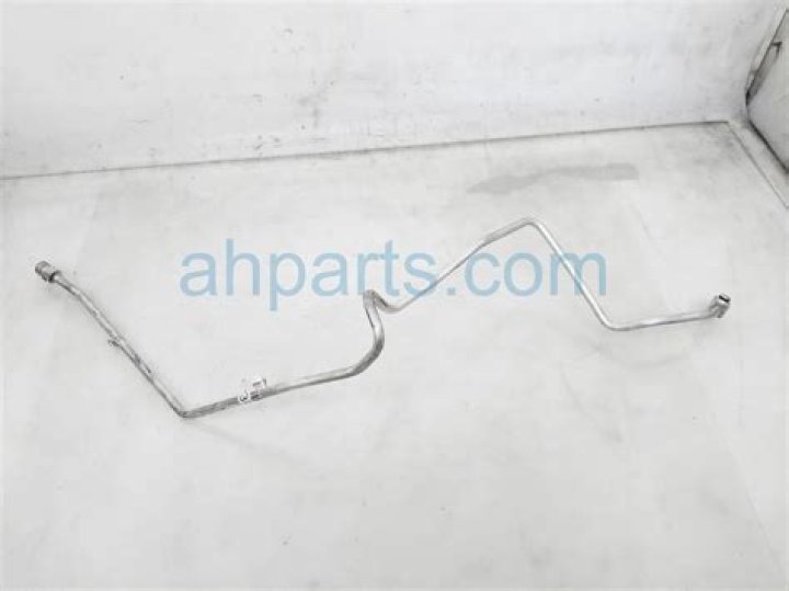 Lando Norris' Relationship Status: A Deep Dive into His Relationship Timeline and Recent Speculations - SarkariResult