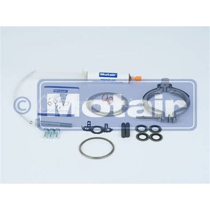 Unveiling Robbie Williams' True Height: Separating Fact from Fiction about the British Pop Star - SarkariResult