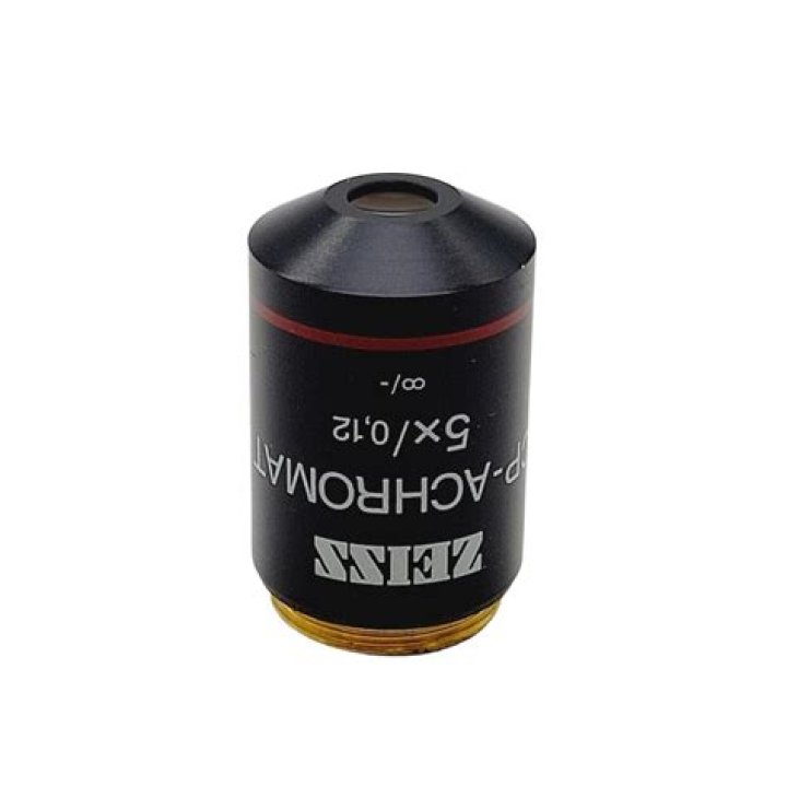 Daniel Radcliffe's Age During 'Harry Potter 1': From Child Prodigy to Stardom - SarkariResult