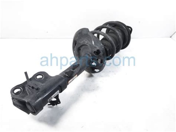 Richard Ayoade's Role in "Disenchantment": Is It Unforgettable? - SarkariResult