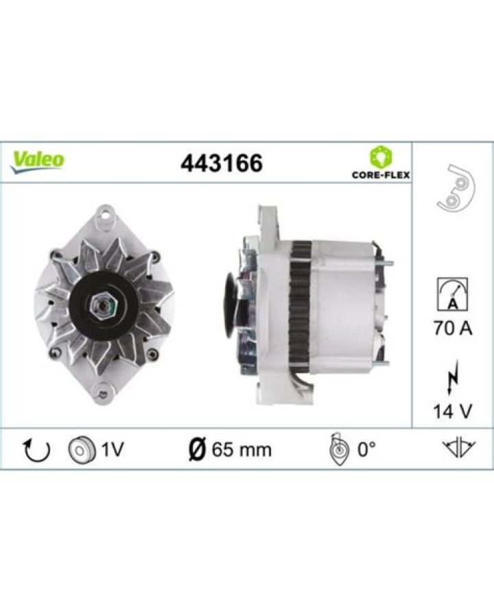 Who Is Chaim Bloom's Wife, Aliza Hochman? - SarkariResult