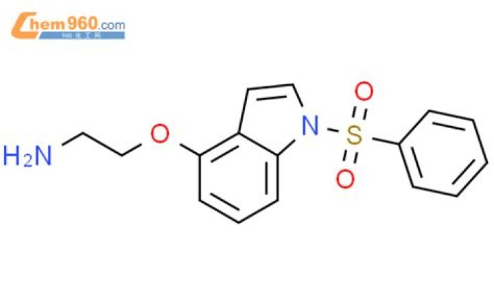 Alba Baptista's Height: Unraveling the Truth Behind the Inches - SarkariResult