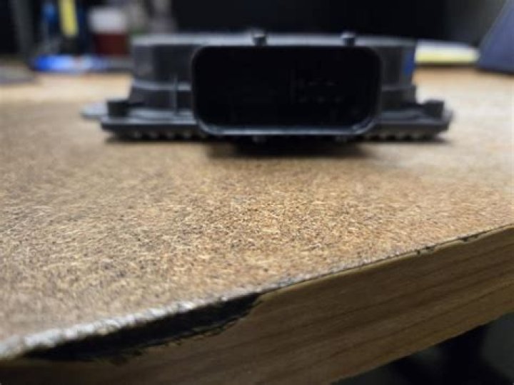 Does Michelle Yeoh Have Kids? A Look into Her Personal Life - SarkariResult