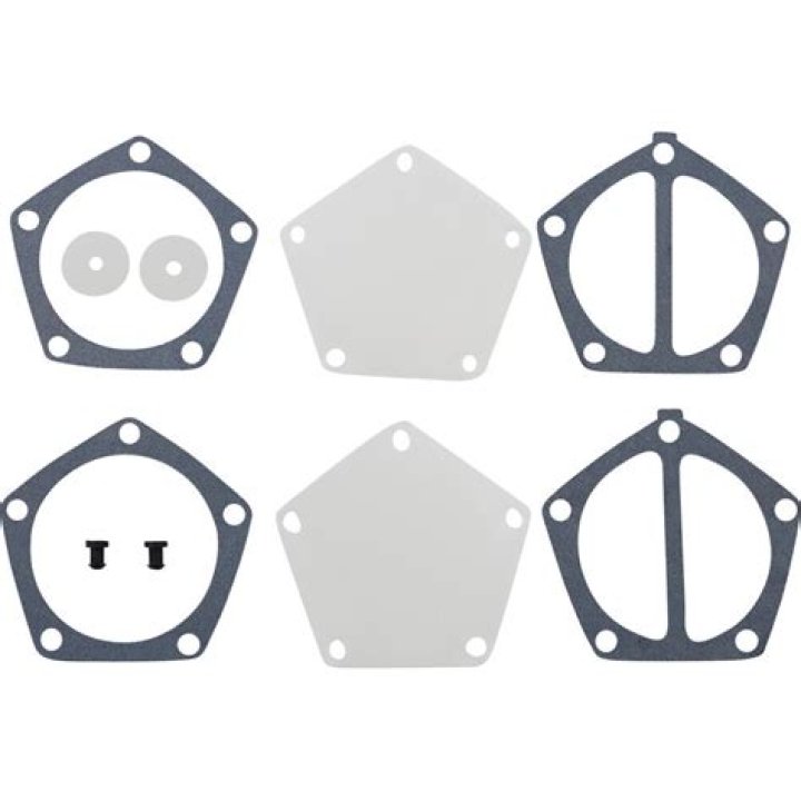 Ric Flair Net Worth : Details About Wrestling, Income, Gf, Age, Career - SarkariResult