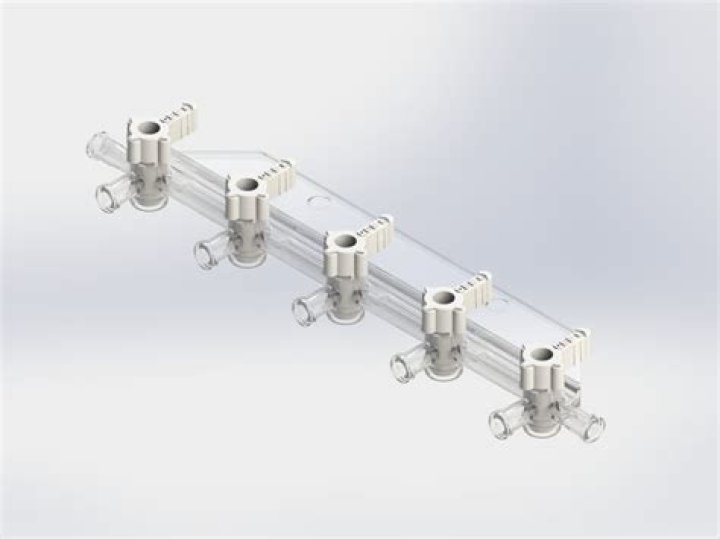 Wayne Brady Net Worth: Details About Comedy, Movies, Wife, Age, Show - SarkariResult