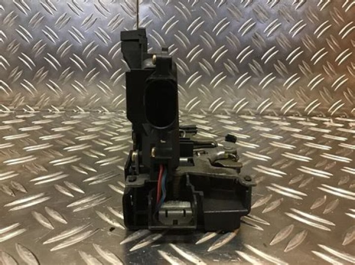 Willy Adames Net Wort 2023: Baseball, Age, Gf, Earnings, Career - SarkariResult