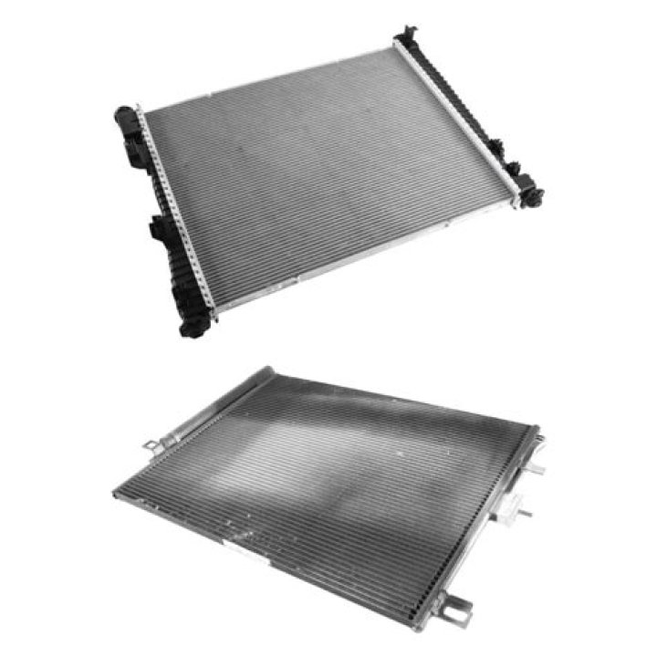 How About Amy Poehler's Age Today? Explore Her Life, Career, and More! - SarkariResult