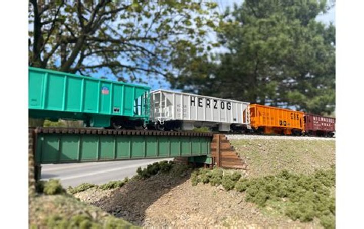 Diora Baird Net Worth: Details About Movie, Career, Age, House, Income - SarkariResult