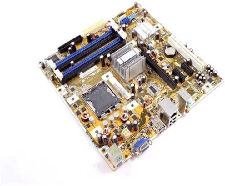 Lourdes Leon Net Worth: Details About Film, Income, Age, Wiki, Career - SarkariResult