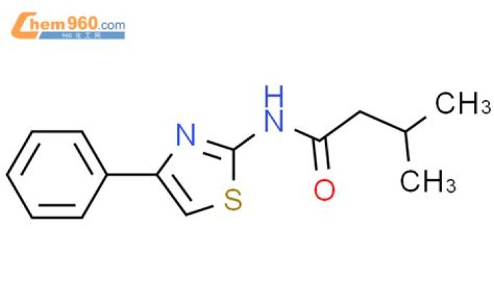 Is Angelina Jolie's 2023 Net Worth More Astonishing Than Her Hollywood Career? - SarkariResult