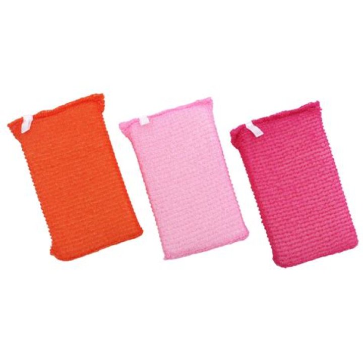 Brittney Griner's Love Journey: Is Her Wife Her College Sweetheart? - SarkariResult