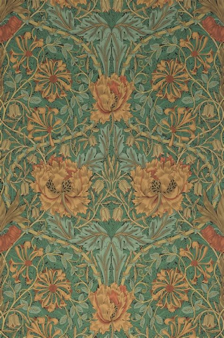 Tina Weymouth Net Worth: Details About Height, Songs, Accident, Bands - SarkariResult