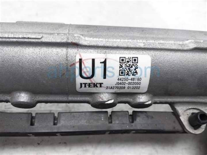 Warwick Davis Net Worth: Details About Movies, Wife, Age, Family, Height - SarkariResult