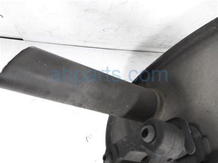 Perdita Weeks Net Worth: Details About House, Income, Career, Assets - SarkariResult