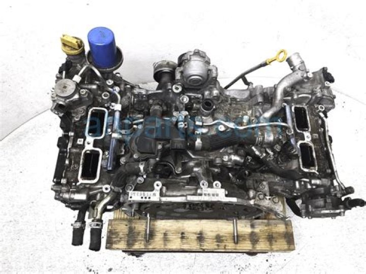 Adam Collard's Family Story: Introducing Bill Collard and Grace Collard, His Parents - SarkariResult