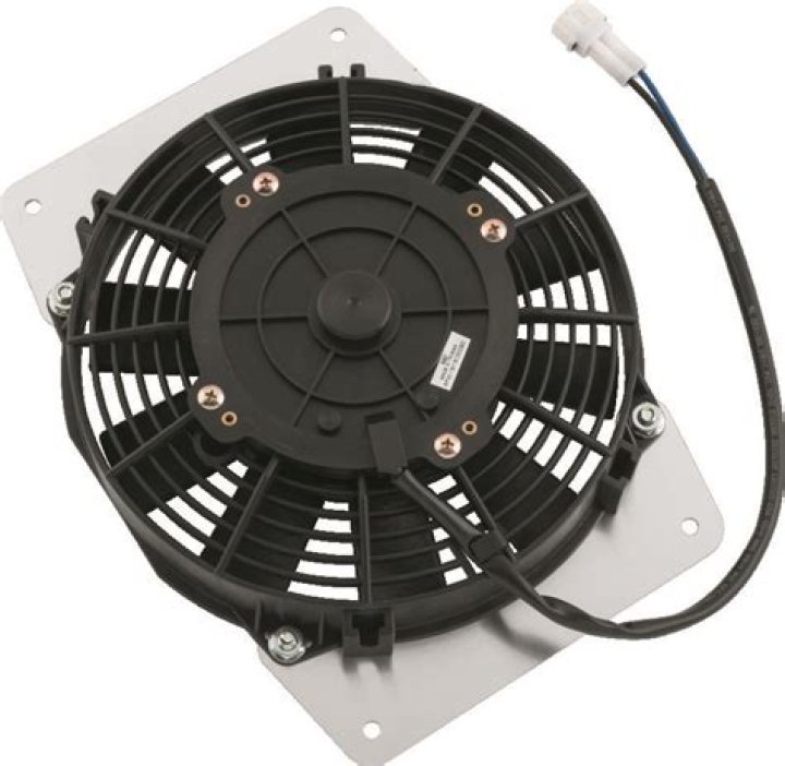 Who Is Rhea Ripley's Future Husband? Insights into Their Engagement - SarkariResult