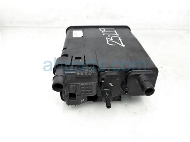 Isabella Acres Net Worth: Details About Movie, Income, Age, Cars, Career - SarkariResult