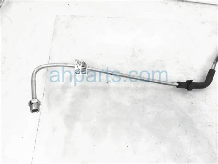 Blake Anderson Net Worth: Details About Movies, Income, Age, Home, Career - SarkariResult