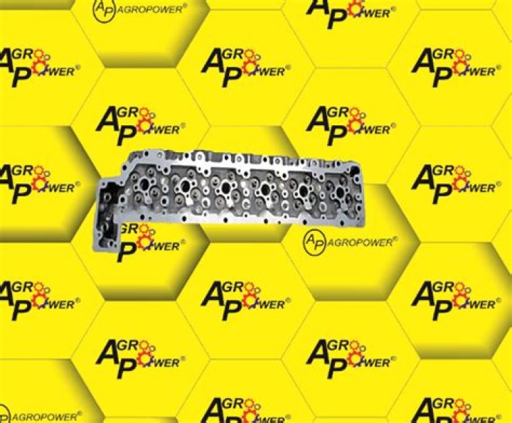 Natalie Morales Net Worth: Details About Movies, Shows, Age, Husband, TV - SarkariResult