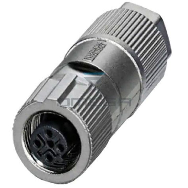 Miguel Cruz Favela Accident Linked Death And Obituary : What Happened To Him? - SarkariResult