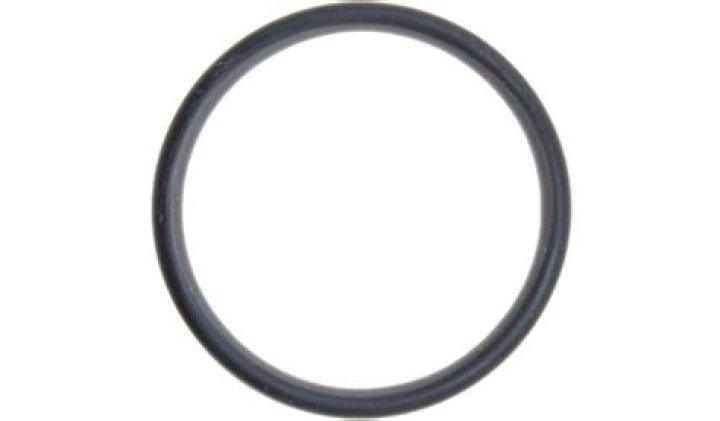 Elizabeth Warren Net Worth: Details About Age, Assets, Salary, Senator - SarkariResult