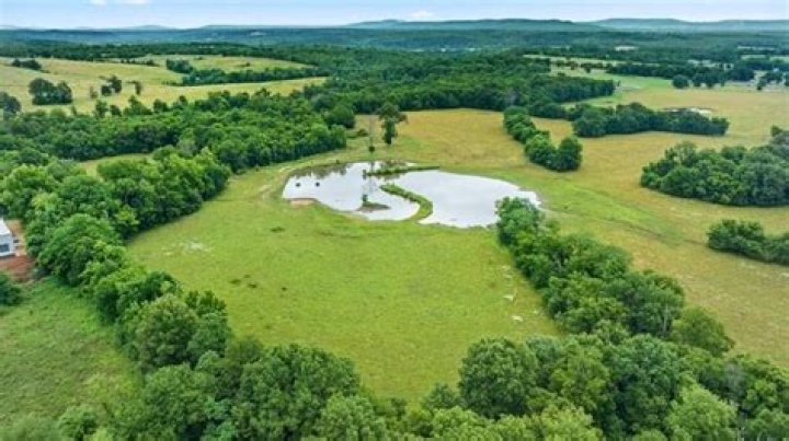 Annaleigh Ashford Net Worth: Details About Bf, Career, Film, Earnings - SarkariResult