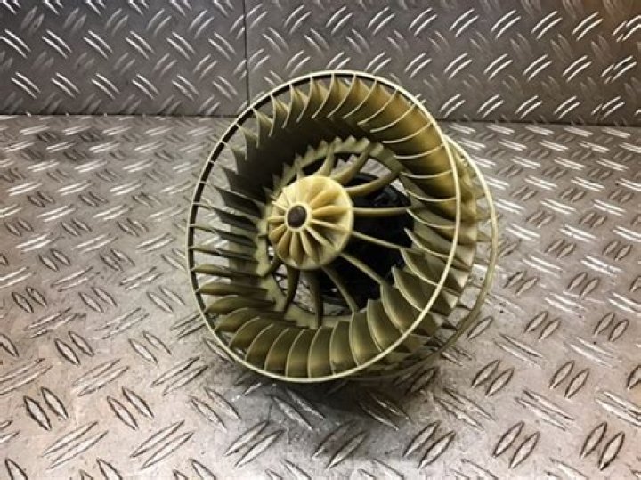 Danielle Deadwyler Net Worth: Details About Film, Age, Income, Bf, Career - SarkariResult