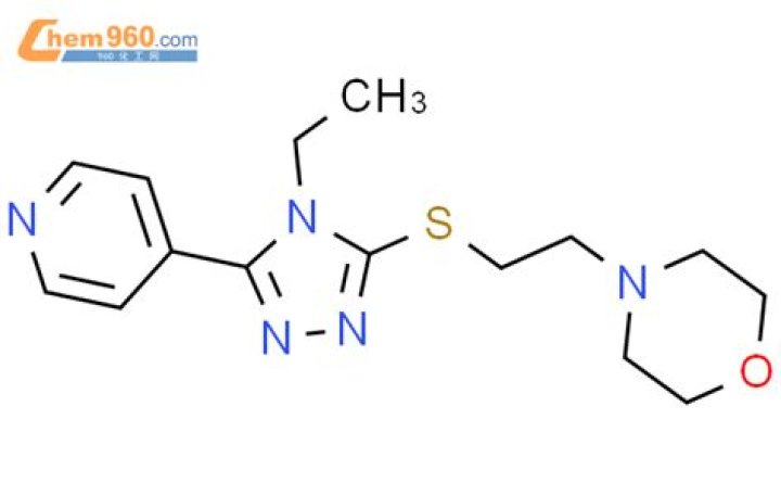 Capri Sports Onboards Jinisha Sharma As Director - SarkariResult