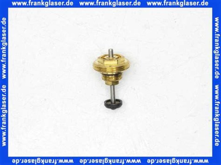 Terri Lesley: What Happened to Her? Where is She Now? Is She Fired? - SarkariResult