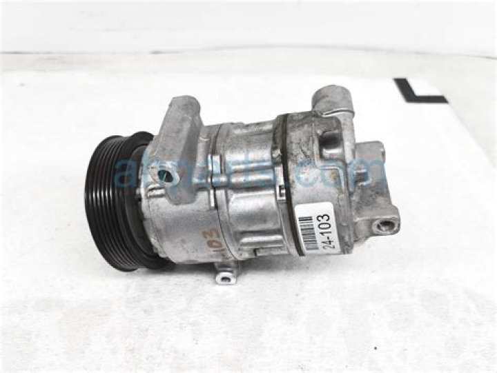 Who is Rena Haley, the child of Nikki Haley? - SarkariResult