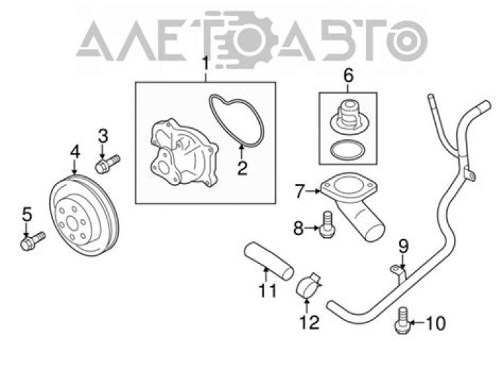 Pope Francis Removes Conservative US Bishop Joseph Strickland - SarkariResult
