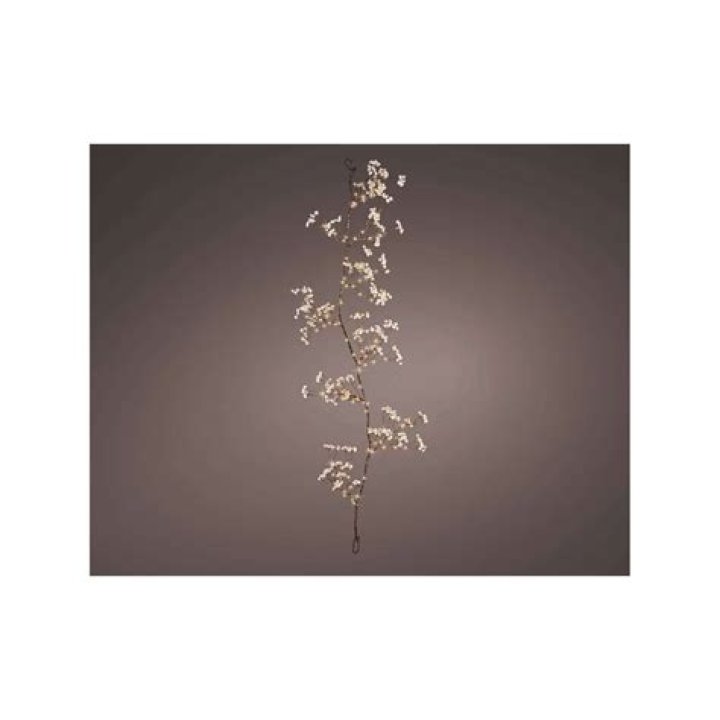 Jeff Hackett Obituary & Cause Of Death : What Happened To Jeff Hackett? - SarkariResult