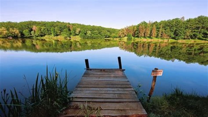 Next Goal Wins Release Date : Recap, Review, Cast, Spoilers, Streaming, Schedule & Where To Watch? - SarkariResult